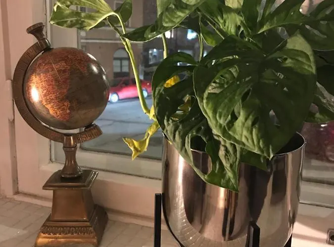 Rustic Black And White 公寓 赫尔辛基